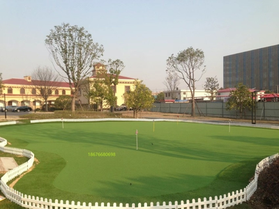高尔夫果岭